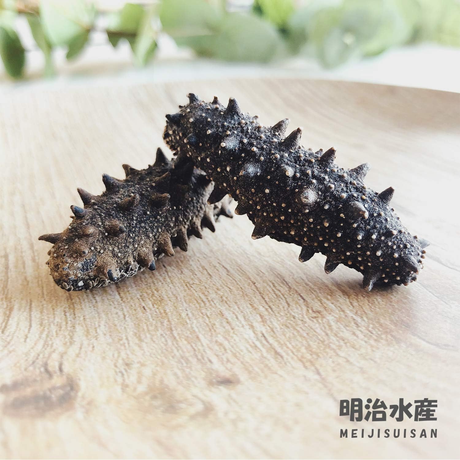 【青森産】 乾燥なまこ 厳選A級品 天然 刺参 250g サイズ指定可 明治水産