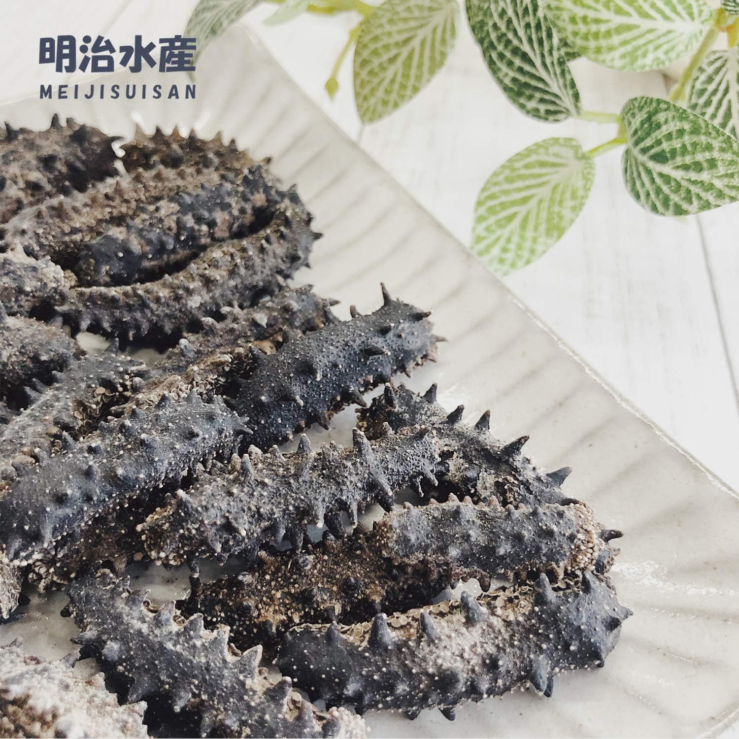 【青森産】 乾燥なまこ 天然 B品 訳あり 500g 明治水産