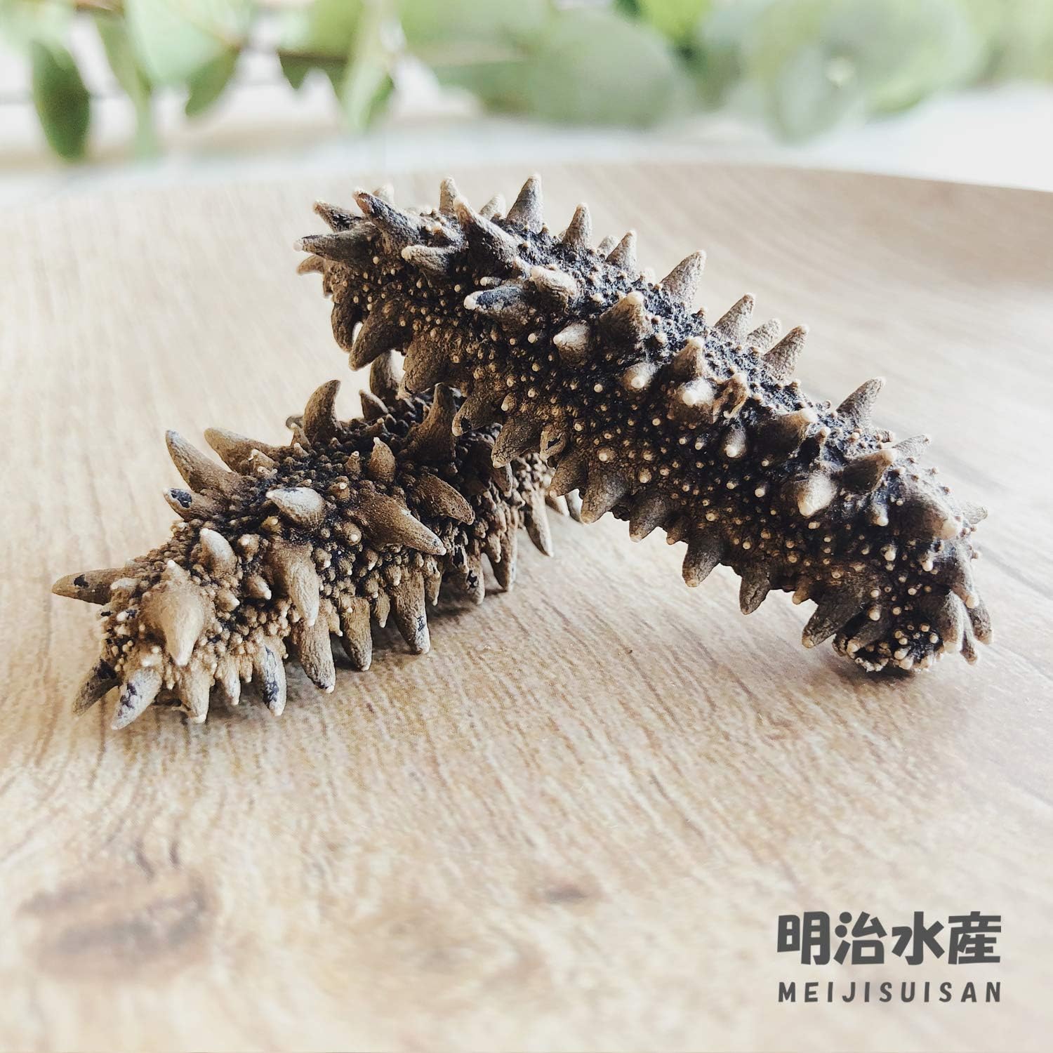 【北海道産】 乾燥なまこ 天然 厳選A級品 250g 明治水産