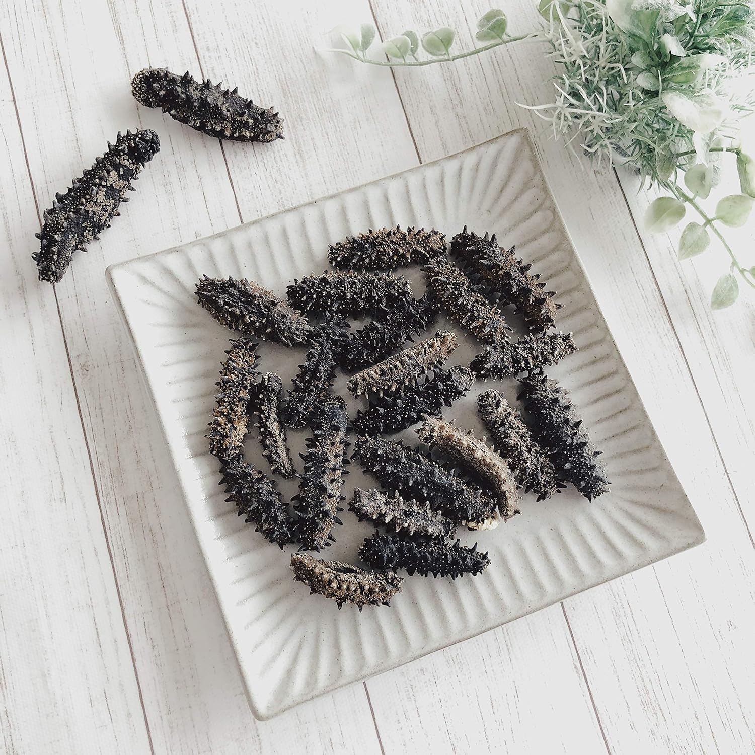 【北海道産】 乾燥なまこ 天然 B品 訳あり 100g 明治水産