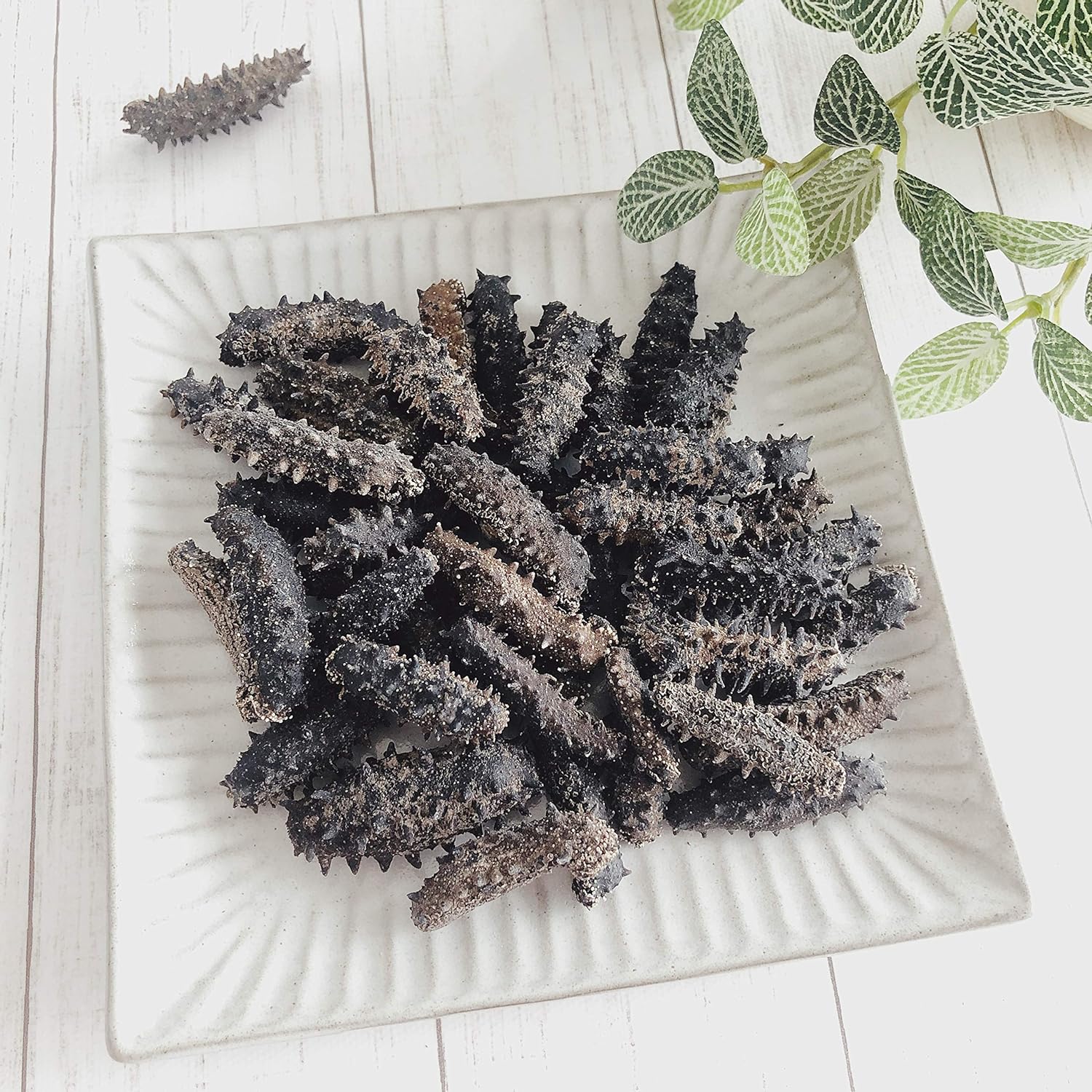 【青森産】 乾燥なまこ 天然 B品 訳あり 500g 明治水産