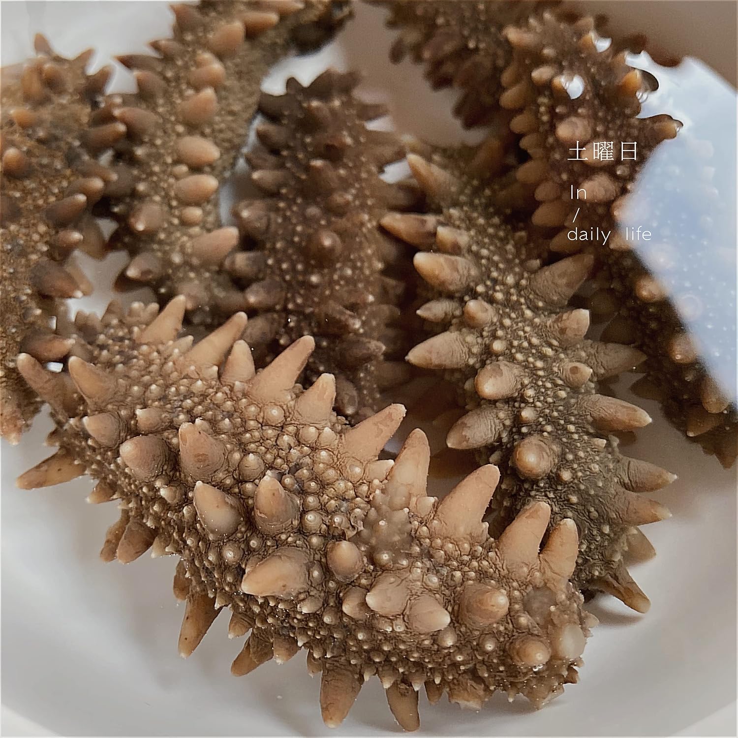 【即食なまこ】 北海道産 A級品 調理しやすい なまこ 冷凍品 明治水産