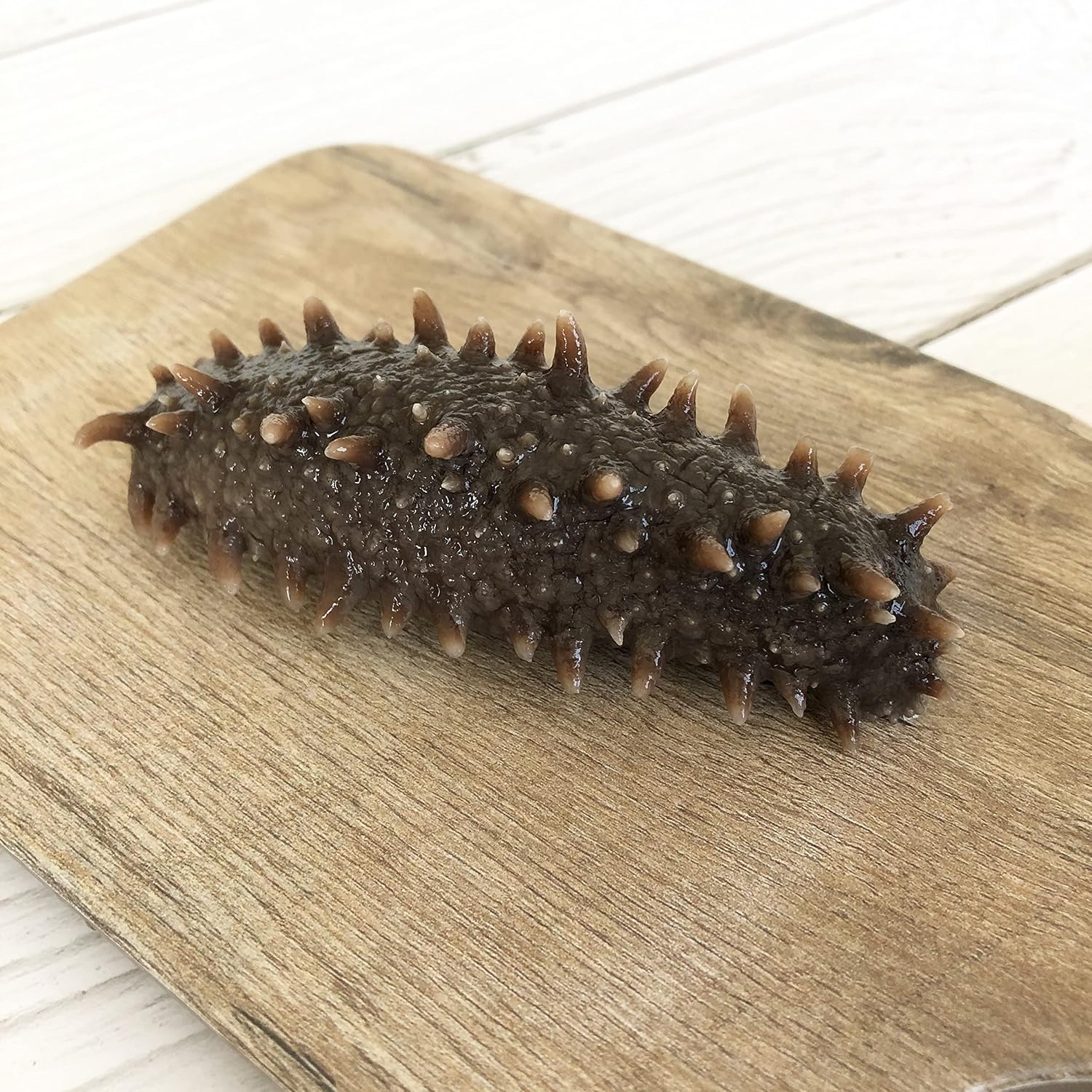 【即食なまこ】 北海道産 A級品 調理しやすい なまこ 冷凍品 明治水産